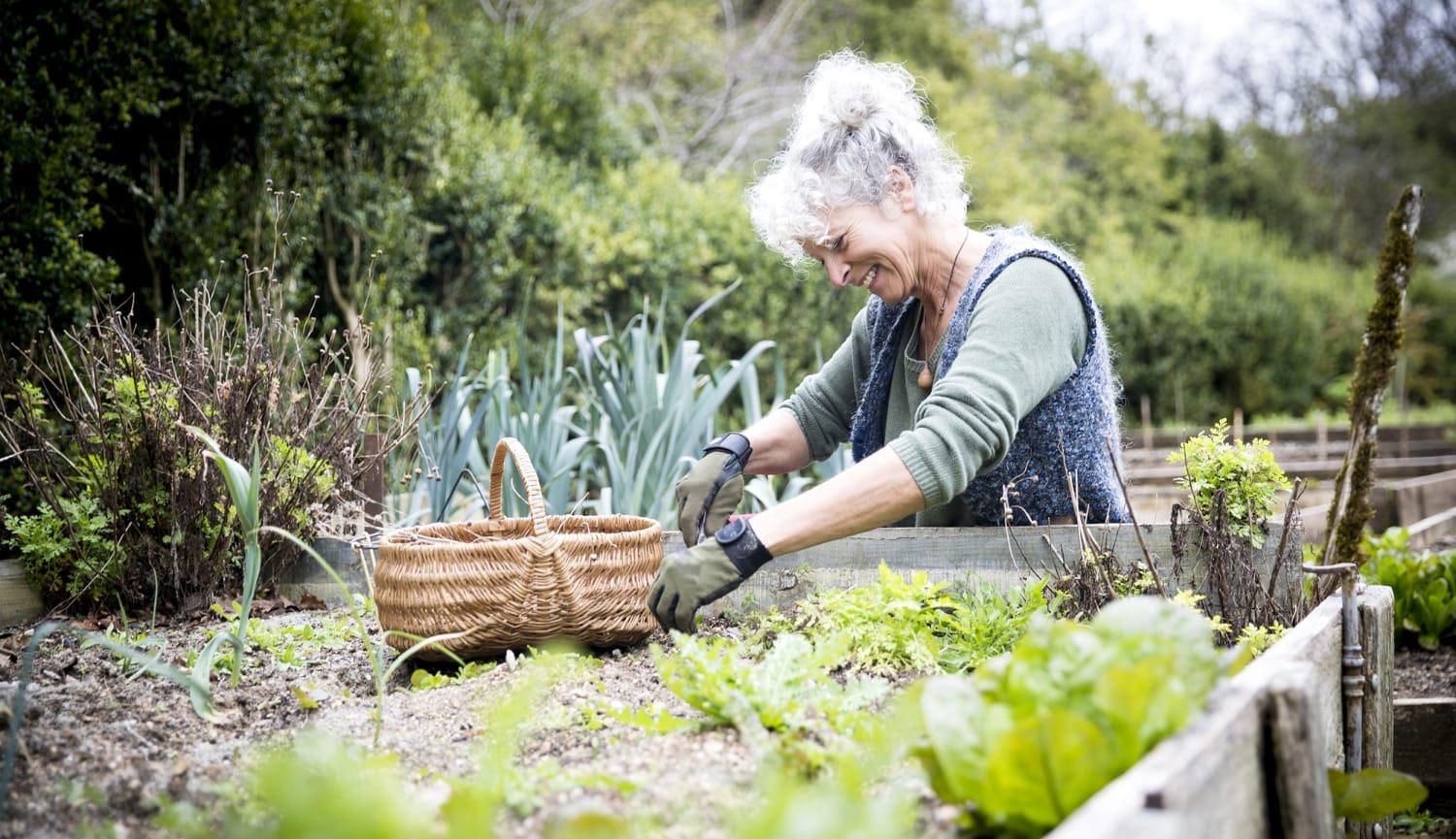 gardening-mental-health-mc-230210-bfe50c